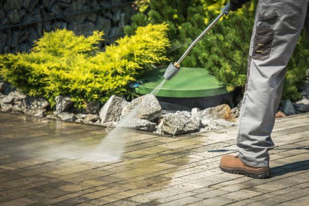 Trusted Pelion, SC Pressure Washing Services Experts
